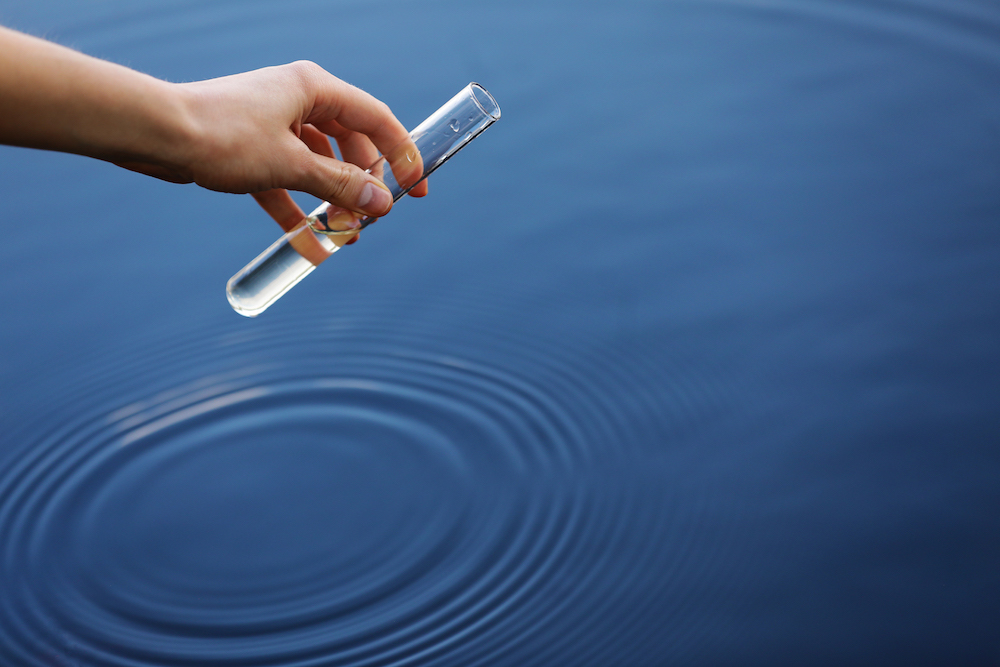 Test well water for bacteria and nitrates